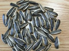 -粒上皇(五岭店)