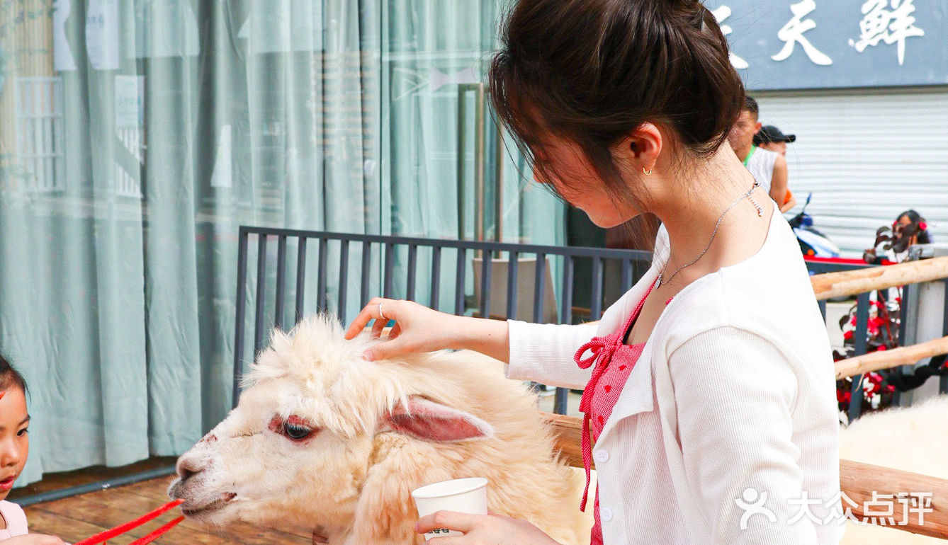 六一好去处 | 重庆首个超有意思的爬宠展🐸