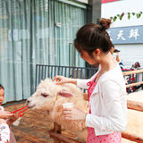 六一好去处 | 重庆首个超有意思的爬宠展🐸