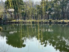 -浙江西子宾馆·瑶园咖啡厅