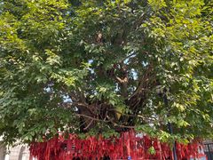 -两江国际影视城