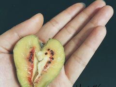 -鲜芋仙(徐州彭城一号店)