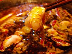 -星鸿社重庆老火锅(燃灯寺分店)