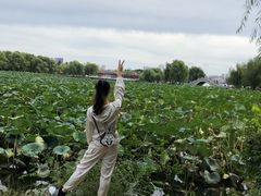 -长春市南湖公园