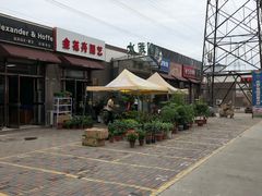 -中环花鸟鱼虫市场