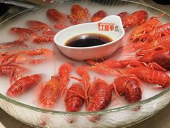 -红盔甲·小龙虾(定西路店)