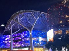 -爱雍·乌节