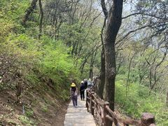 -终南山南五台景区