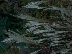 -崂山巨峰游览区