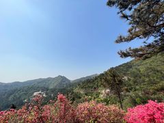 -木兰云雾山