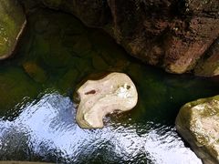 -永泰中国云顶