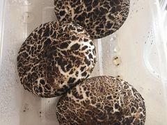 -厦门宝龙铂尔曼大酒店·龙之渊中餐厅