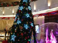 -厦门明发国际大酒店(会展中心环岛路店)