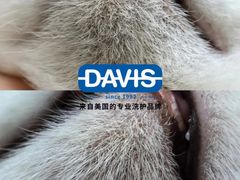 -汪小喵宠物·戴维斯乐芳希施宠馨宝皮毛调理洗护店
