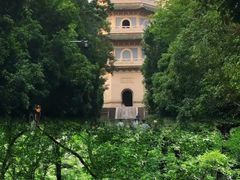 -灵谷景区