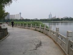 -莲花池公园