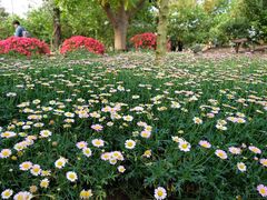 -南通洲际绿博园