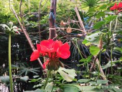 -大妙火锅·非物质文化遗产(东湖公园店)