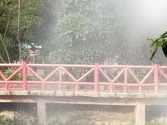-丹樱生态园