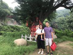 -遵化市禅林寺古银杏风景园