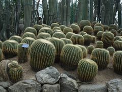 -南山植物园