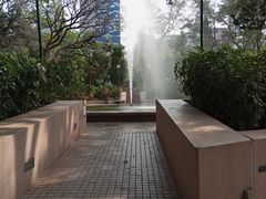 -九龙公园