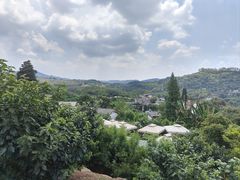 -桃源山庄·水蜜桃采摘·柴火鸡·烧烤团建(龙泉山店)