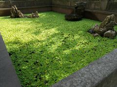 -宁波市保国寺古建筑博物馆