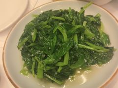清炒豌豆尖-翡翠江南(国贸商城店)