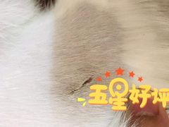 -艾贝尔宠物诊疗