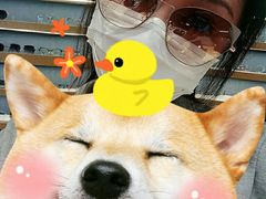 -日本手作眼镜·久川睛匠(新中关购物中心店)