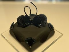 -BLACKSWAN黑天鹅(新希望店)