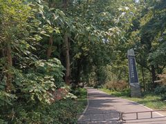 -青龙山国家森林公园