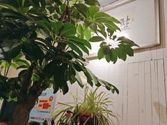 -懒人盐府人家·自贡大麻鱼(安贞店)