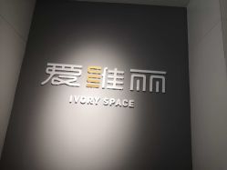 -爱维丽