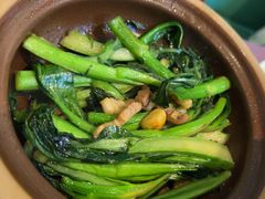 -蛙小侠(天成店)