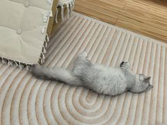 -宠颐生动物医院·心脏科·保险定点(锦阳分院)