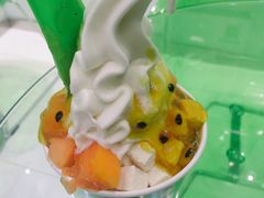 -Salud撒露欧洲冻酸奶(蓝色港湾店)