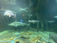 -华夏文旅海洋公园