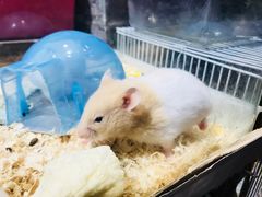 -南京时尚莱迪购物广场(正洪街店)