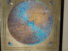 -上海昆虫博物馆