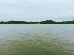 -鹤之洲湿地公园