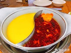 -青瓷火锅料理(西单大悦城店)