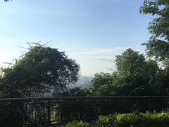 -金鸡山公园