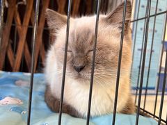 -苏州人家(锦溪镇店)