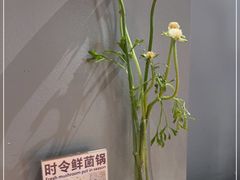-一坐一忘云南菜(三里屯店)