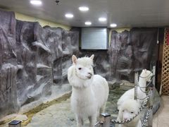 -上海大自然野生昆虫馆(东方明珠·爬宠昆虫探索中心)