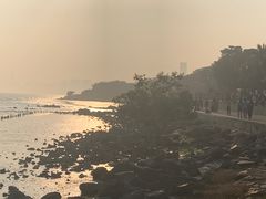 -深圳湾公园(南山区)