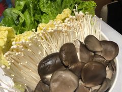 -红鼎豆捞·非遗鲍皇汤火锅(宝丰路店)