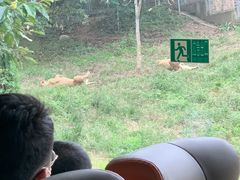 -西安秦岭野生动物园